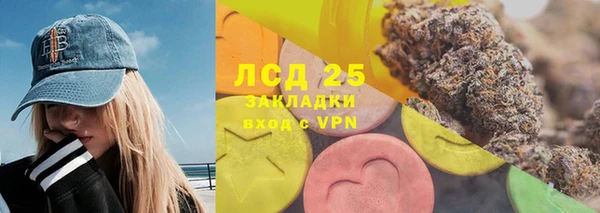 ГАЛЛЮЦИНОГЕННЫЕ ГРИБЫ Балахна