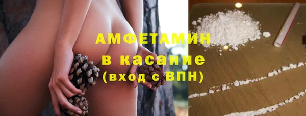 ГАЛЛЮЦИНОГЕННЫЕ ГРИБЫ Балахна