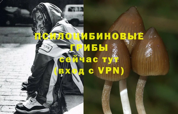 мяу мяу мука Баксан