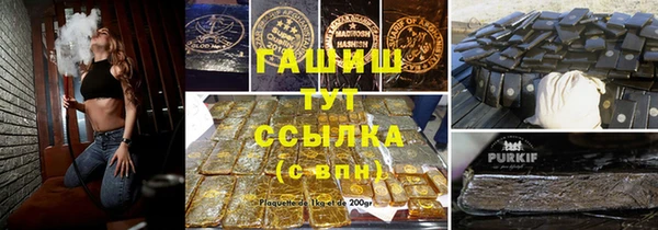 бошки Белокуриха