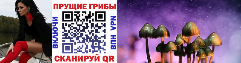 Псилоцибиновые грибы Magic Shrooms  Купить закладки  Жирновск 